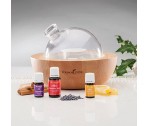  Aria Diffuser Weihnachtskollektion